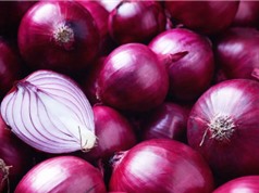 Phụ gia cải thiện đường ruột cho gà từ hành tây tím 